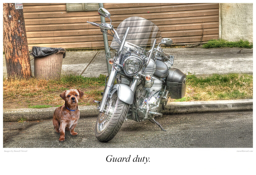 Guard Duty