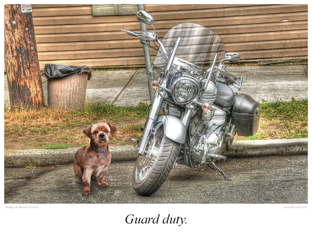 Guard Duty