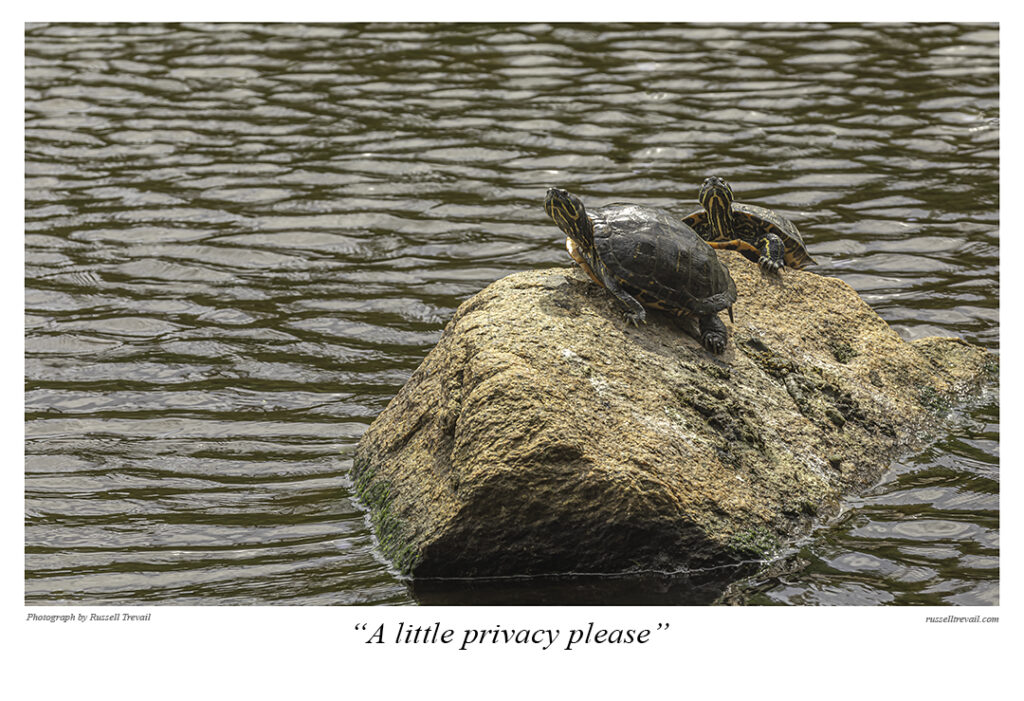 Privacy