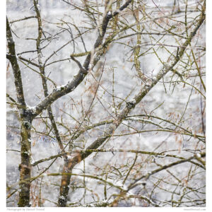 Success and happiness 8.5x11