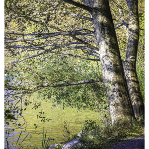 By all means paint 8.5x11