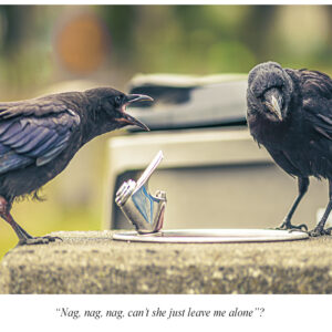 Nag, nag, nag.