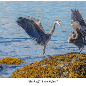 Back Off!