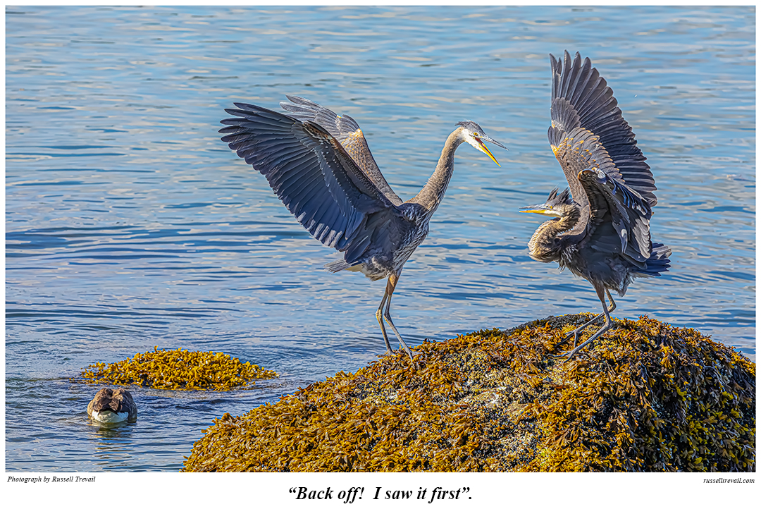 Back Off!