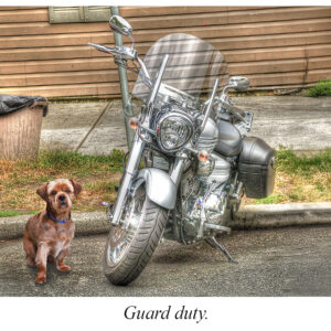 Guard Duty.