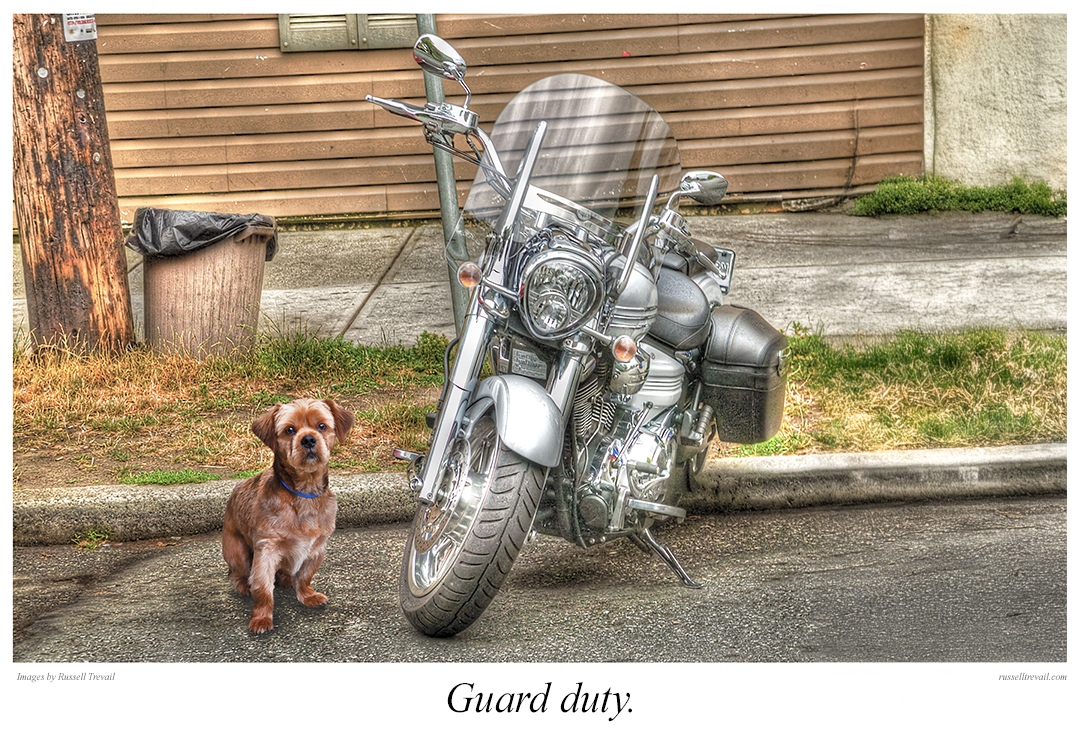 Guard Duty.